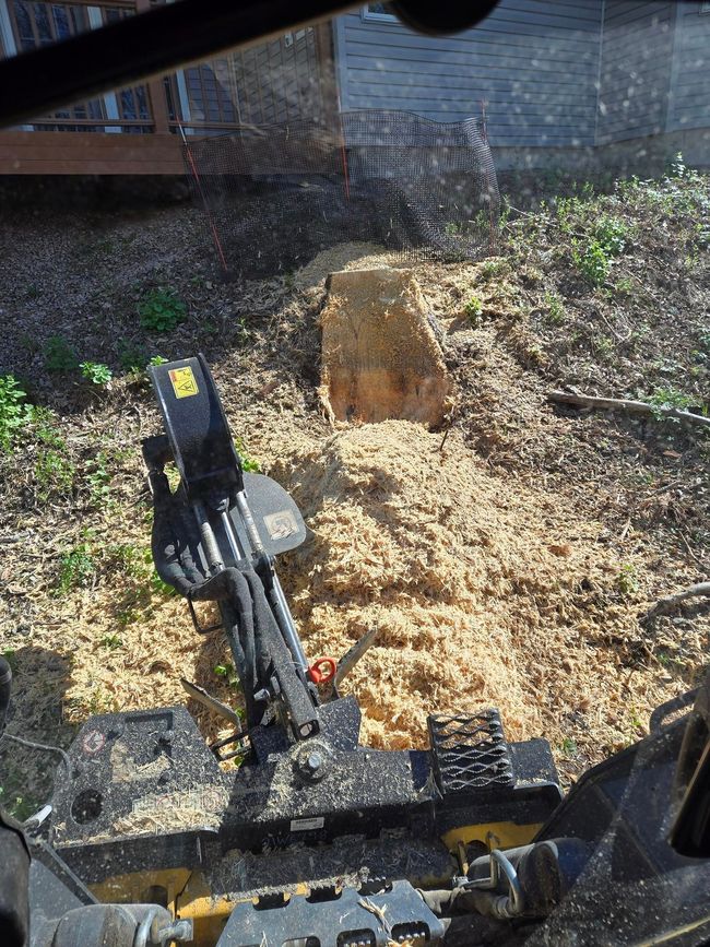 Stump grinding service in Wausau WI