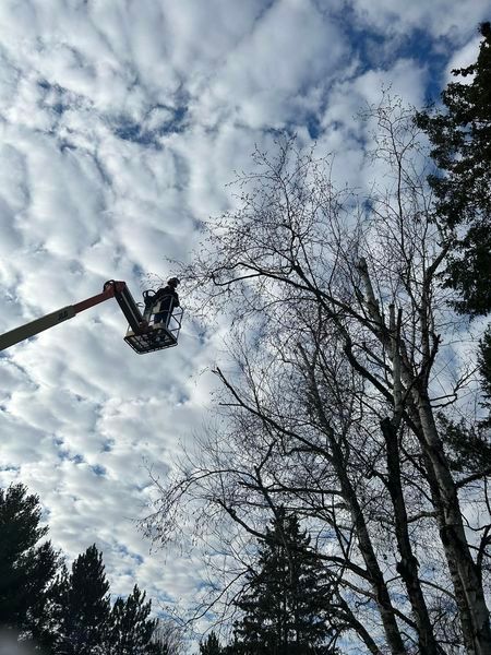 man in bucket lift