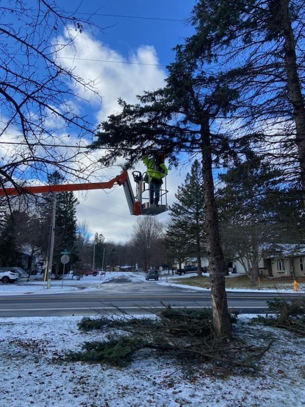 Winter tree trimming in Wisconsin
