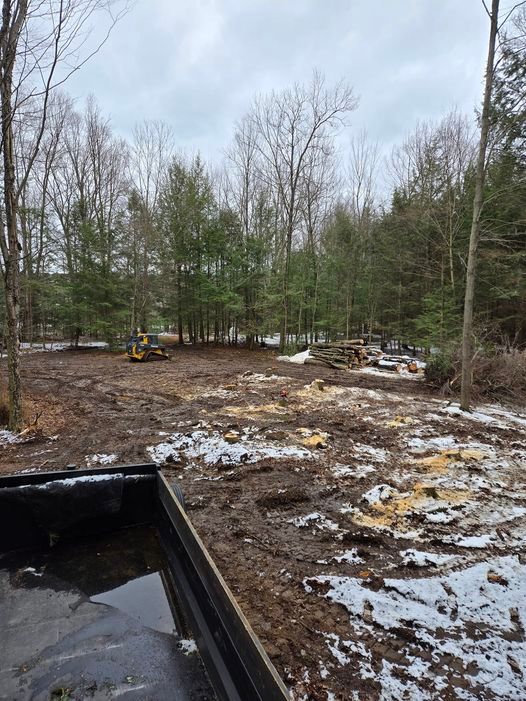 A man is cutting a tree in the woods with a chainsaw while completing a land clearing job