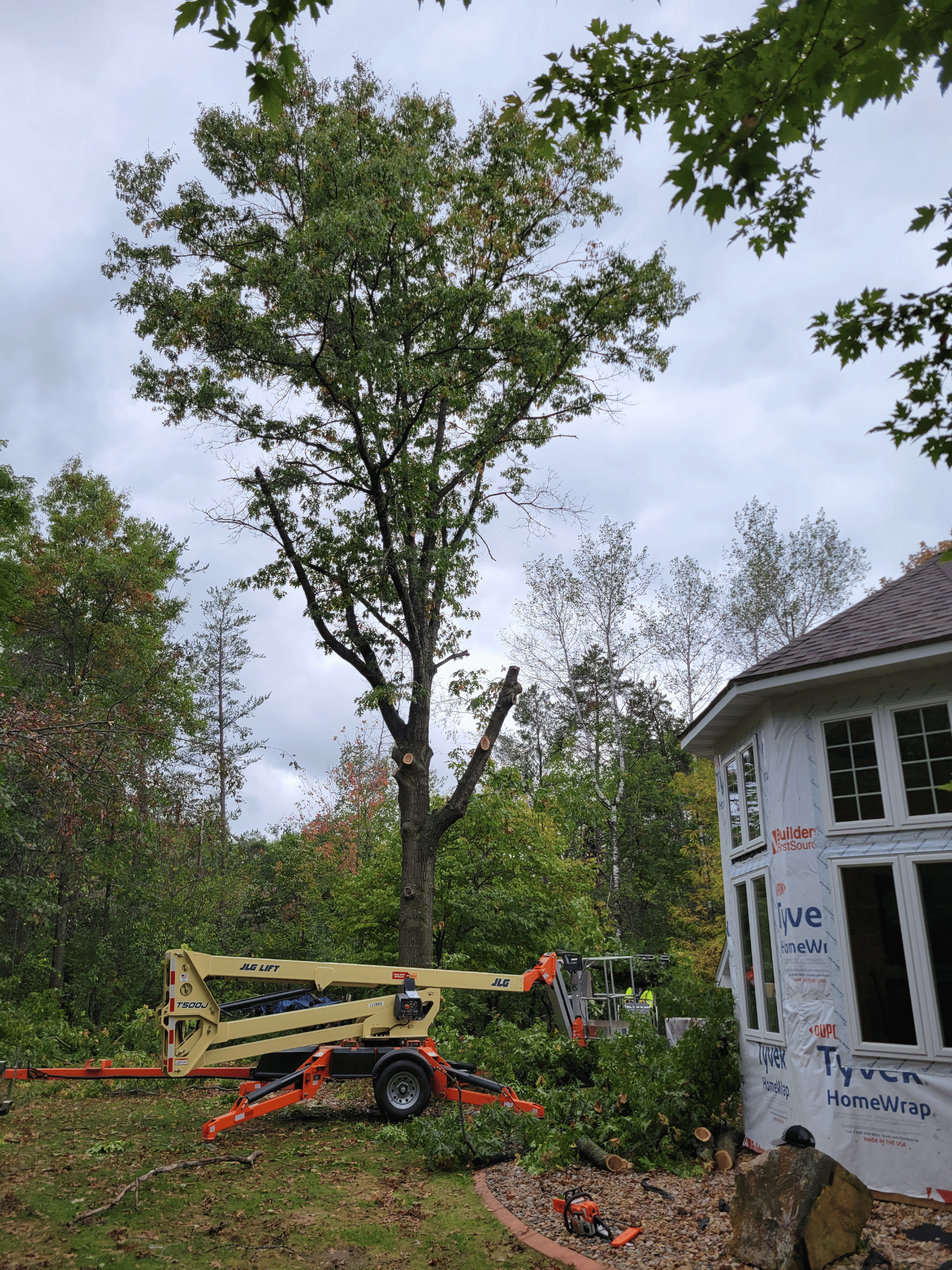 Storm damage tree cleanup in Wausau WI