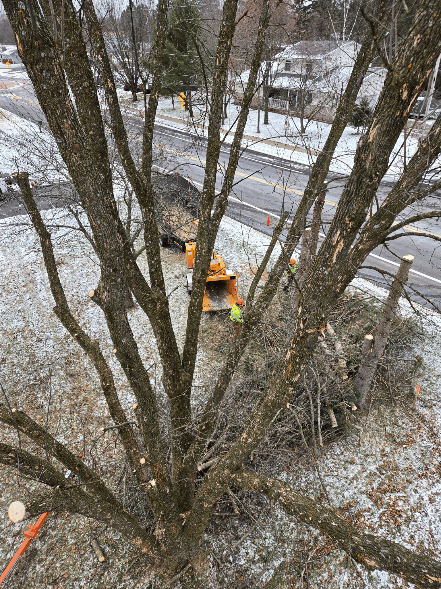 Storm damage cleanup in Wausau WI with crew removing damaged tree limbs and feeding debris into a wood chipper