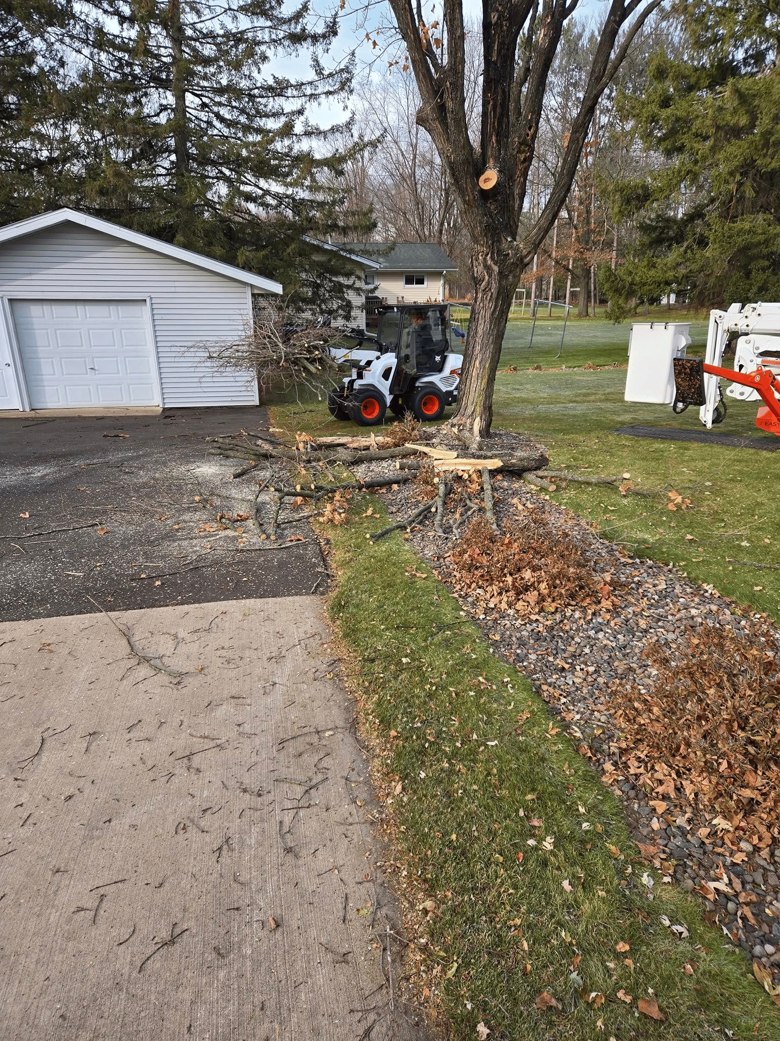 Tree service in Rib Mountain WI