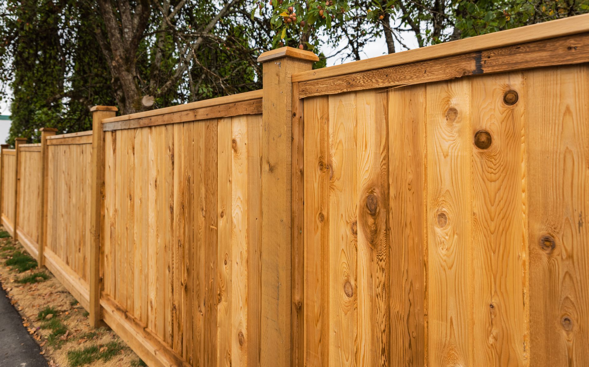 Freshly installed cedar wood fencing running along the yard, providing a natural and appealing boundary.