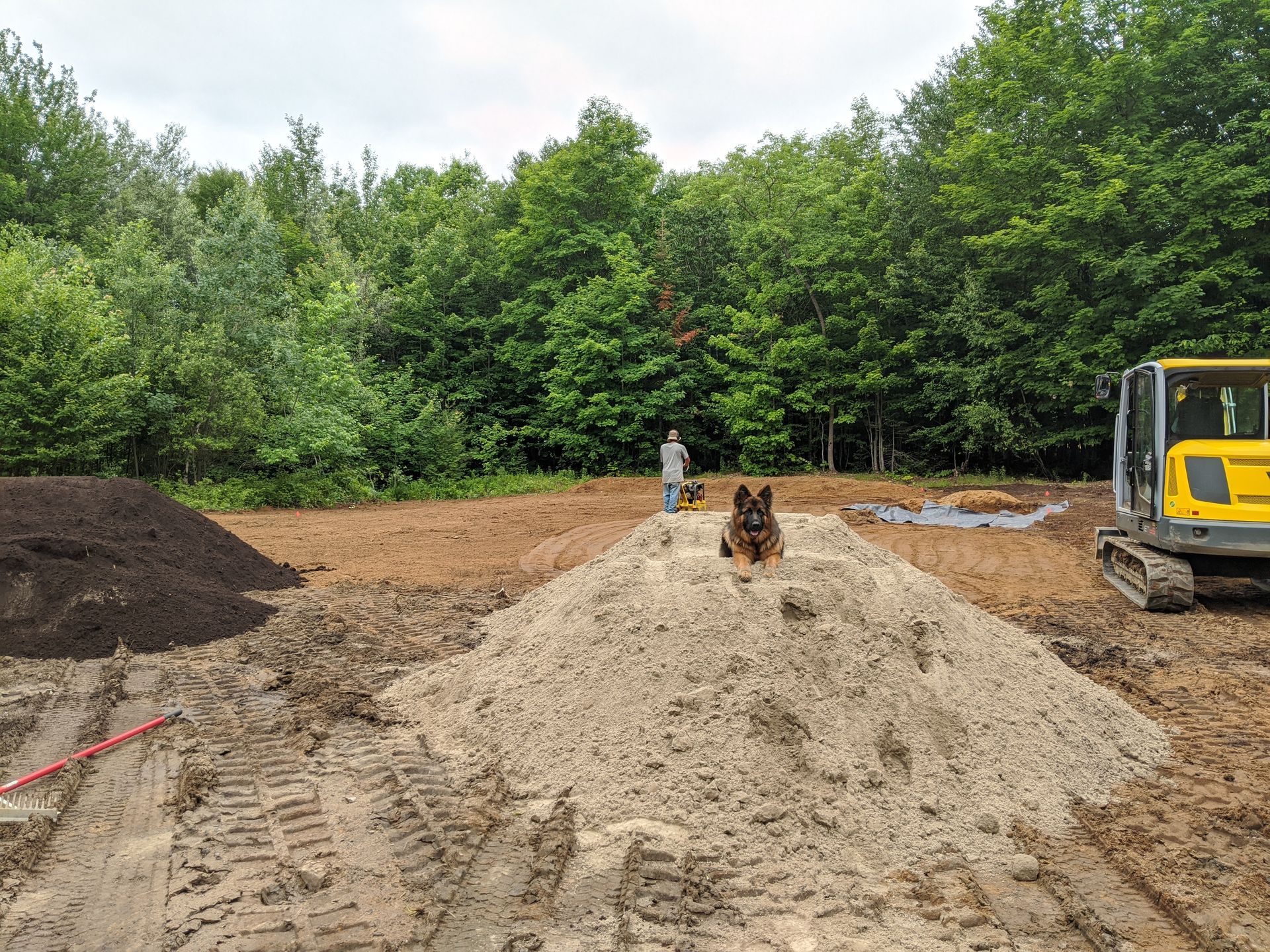 Un berger allemand est assis sur un tas de terre.