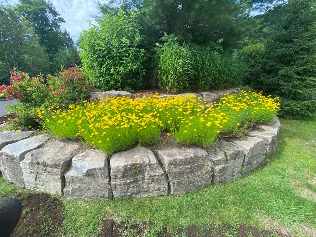 Un mur de pierre entouré de fleurs jaunes dans un jardin.