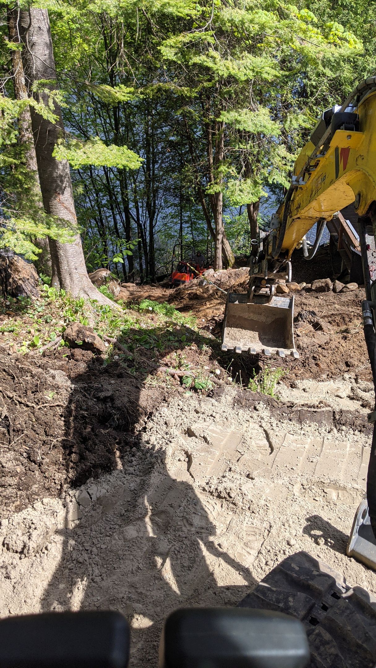 Une excavatrice jaune creuse un trou dans la terre dans les bois.
