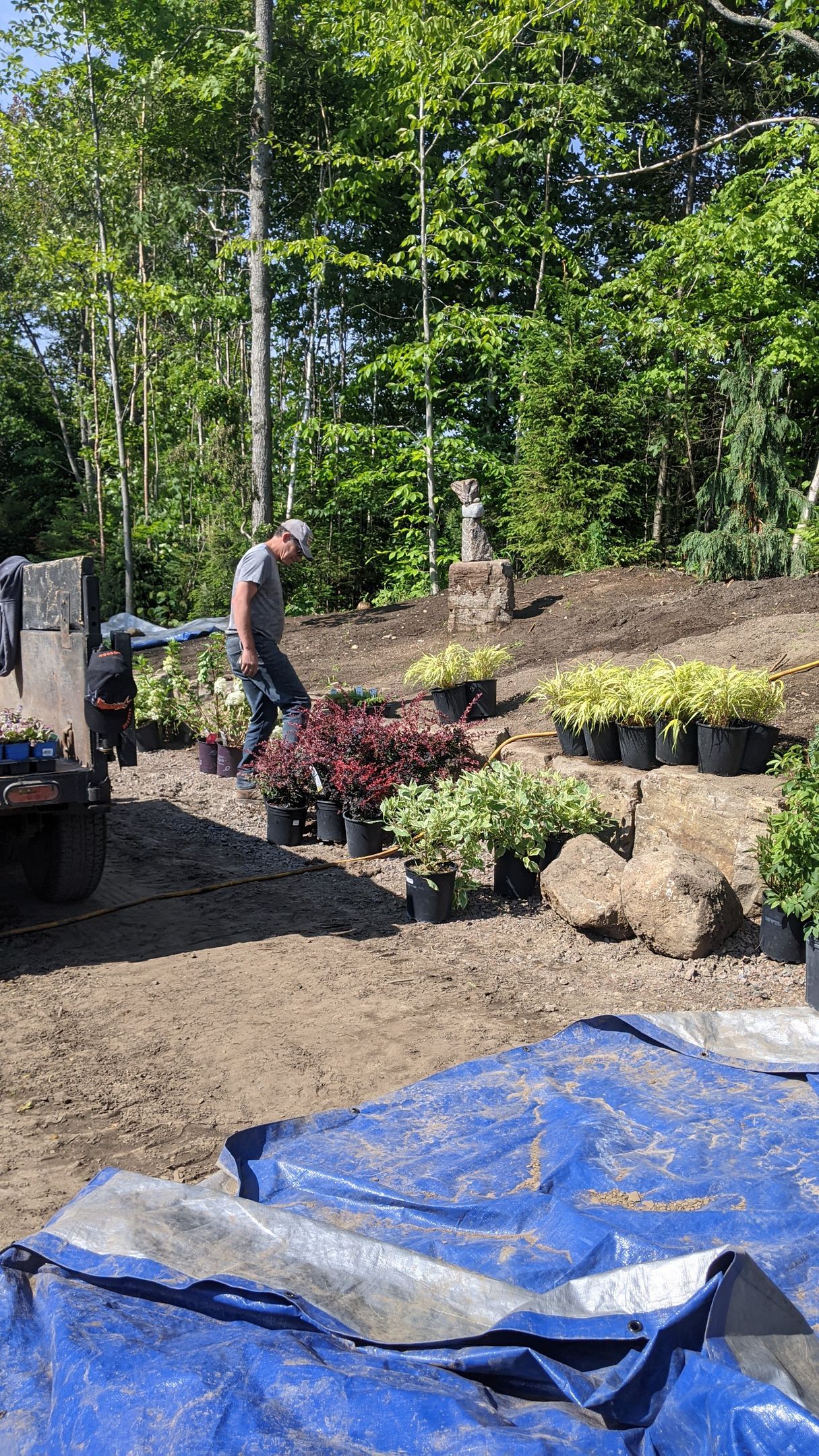 Un homme travaille dans un jardin avec des plantes en pot et une bâche bleue.