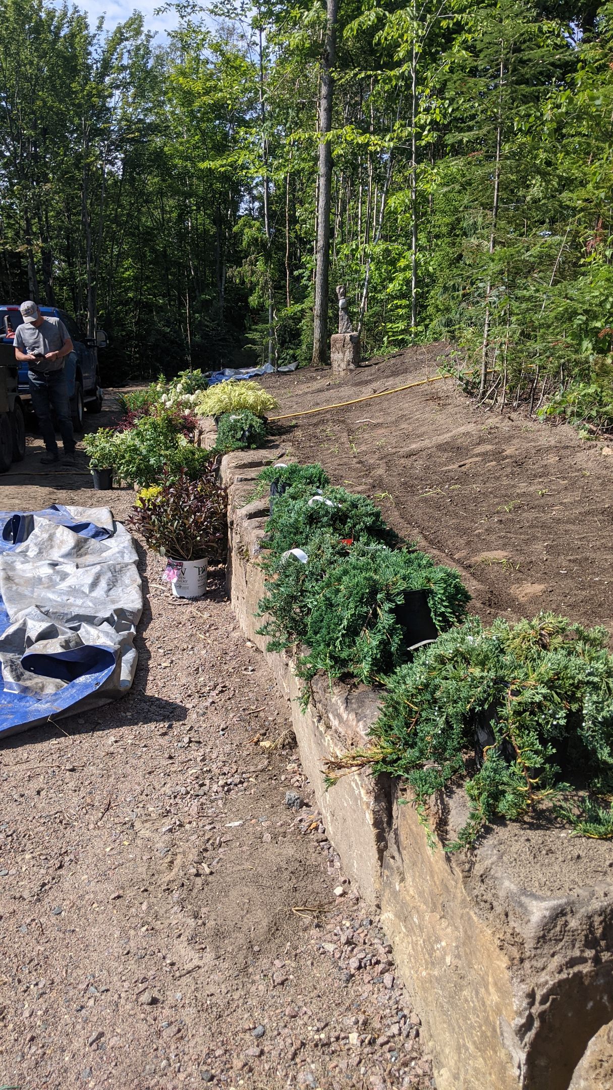 Un homme plante des plantes dans un jardin.