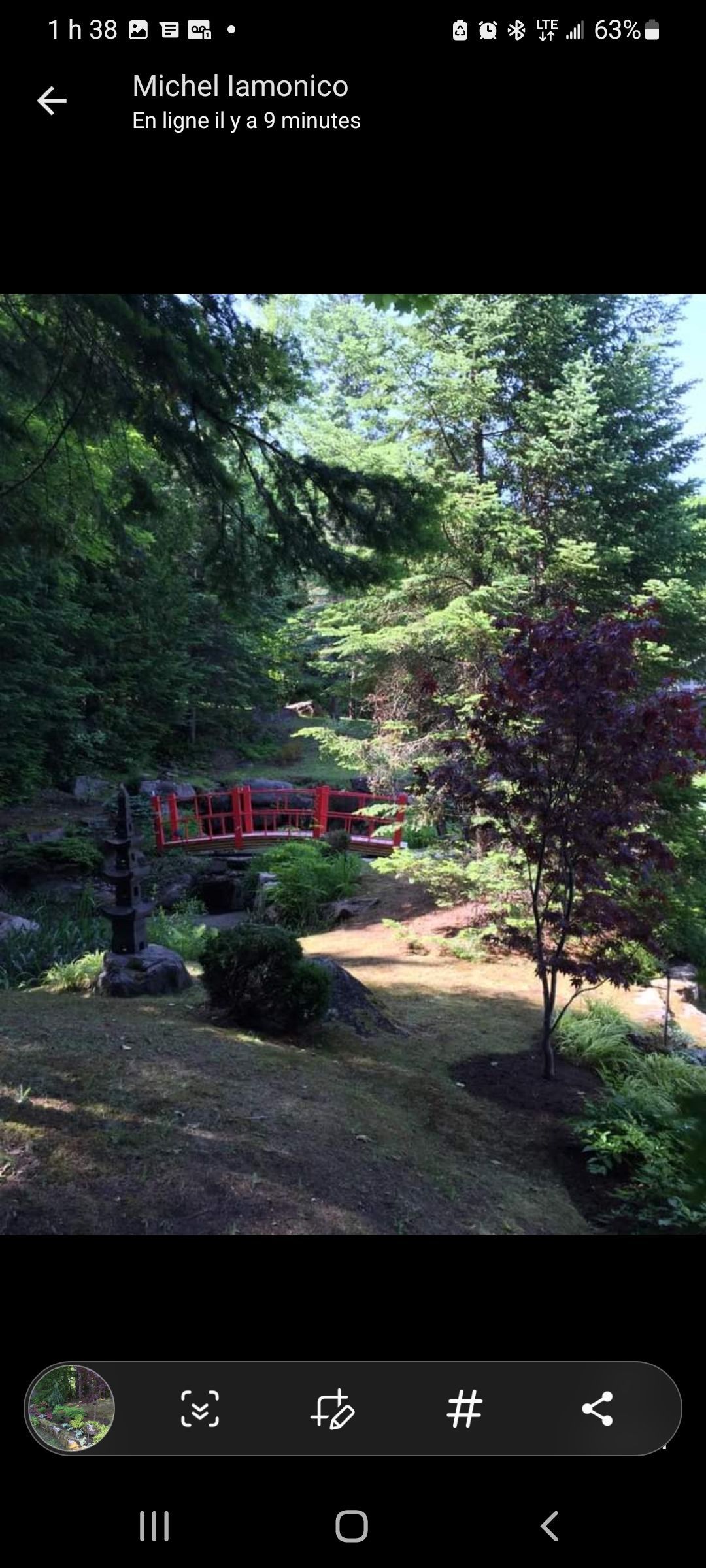 Un écran de téléphone montre une photo d'un parc avec des arbres et un pont.