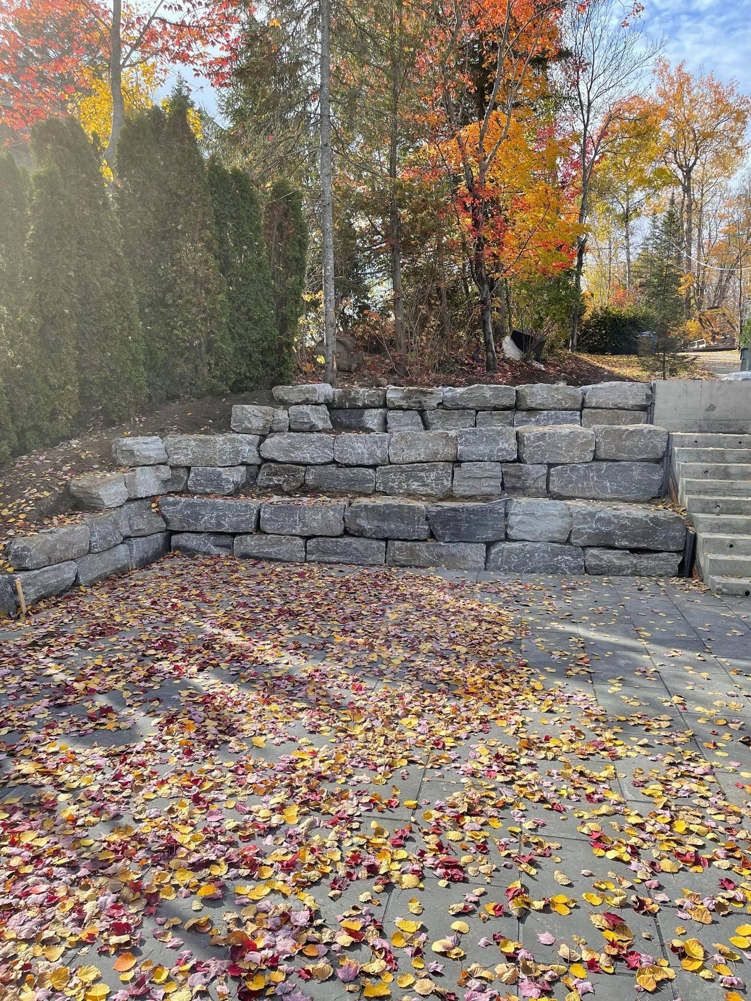 Il y a beaucoup de feuilles sur le sol devant un mur de pierre.