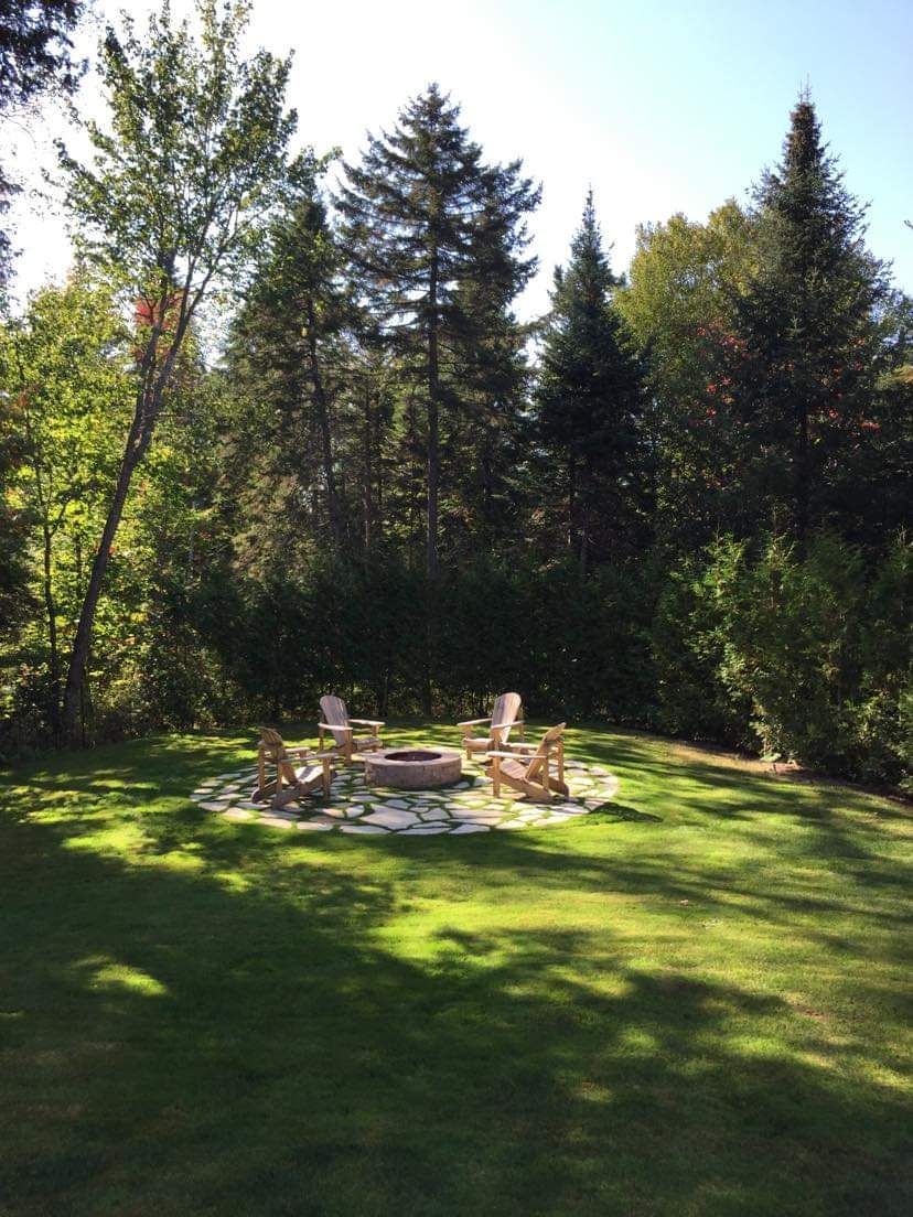 Un foyer au milieu d'un champ vert luxuriant entouré d'arbres.