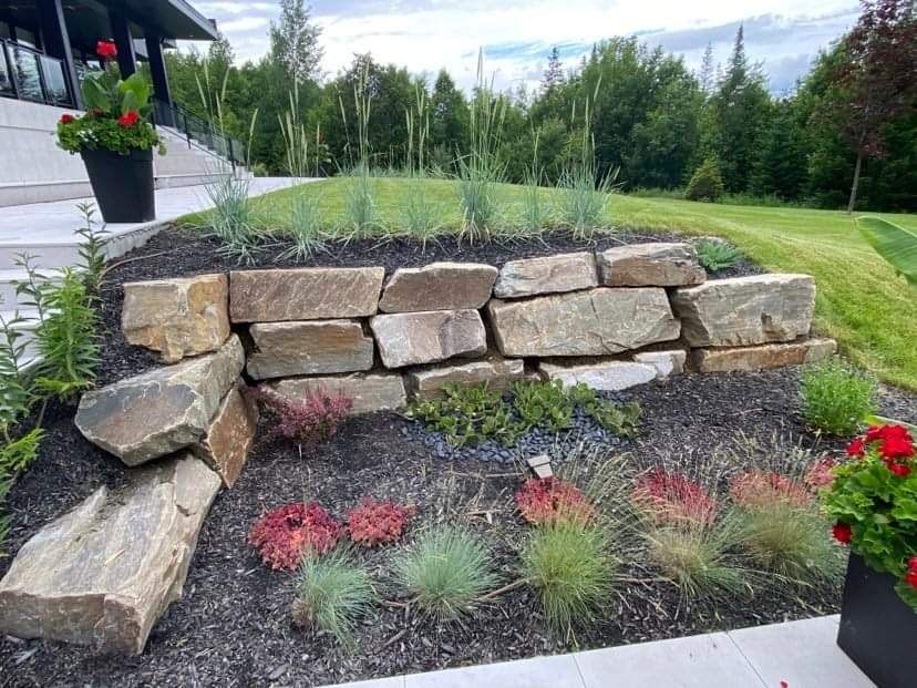 Un mur de pierre entouré de plantes et de fleurs dans un jardin.