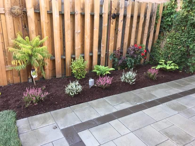 Une clôture en bois entoure un patio avec des plantes et des fleurs.