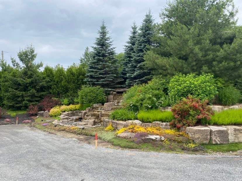 Il y a beaucoup d'arbres et de buissons en arrière-plan.