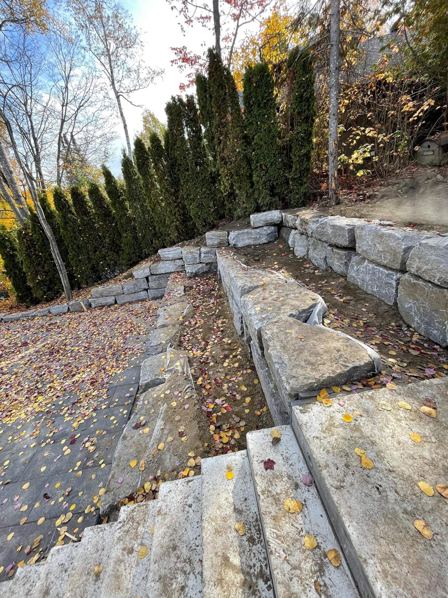 Un ensemble d'escaliers menant à un mur de pierre entouré d'arbres.