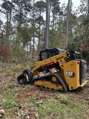 Yellow Caterpillar skid steer clearing brush in a wooded area.