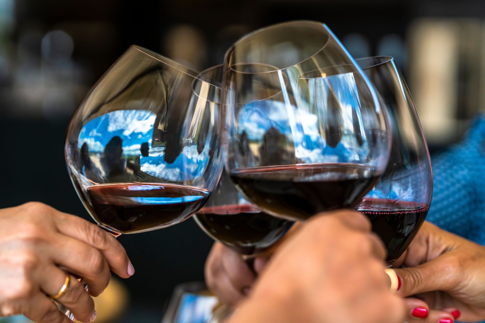 A group of people are toasting with wine glasses.
