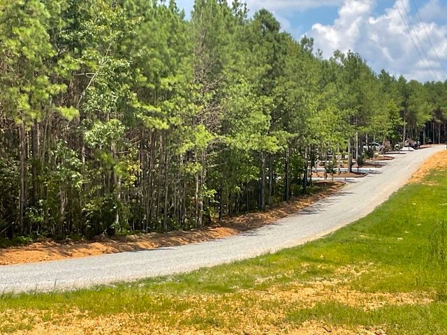 A dirt road going through a lush green forest.