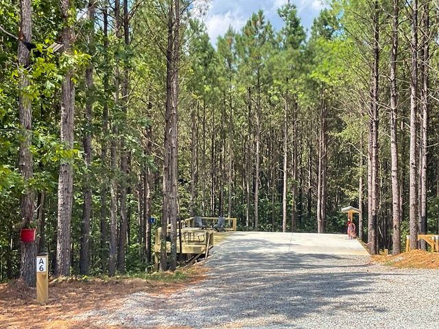 A dirt road going through a forest with trees on both sides.