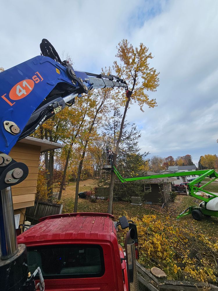 A tree being trimmed by a truck-mounted crane, blue arm against yellow fall foliage.