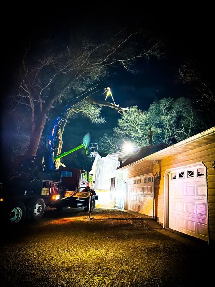 Tree service workers on a lift at night, illuminated by spotlights near a house and garage.