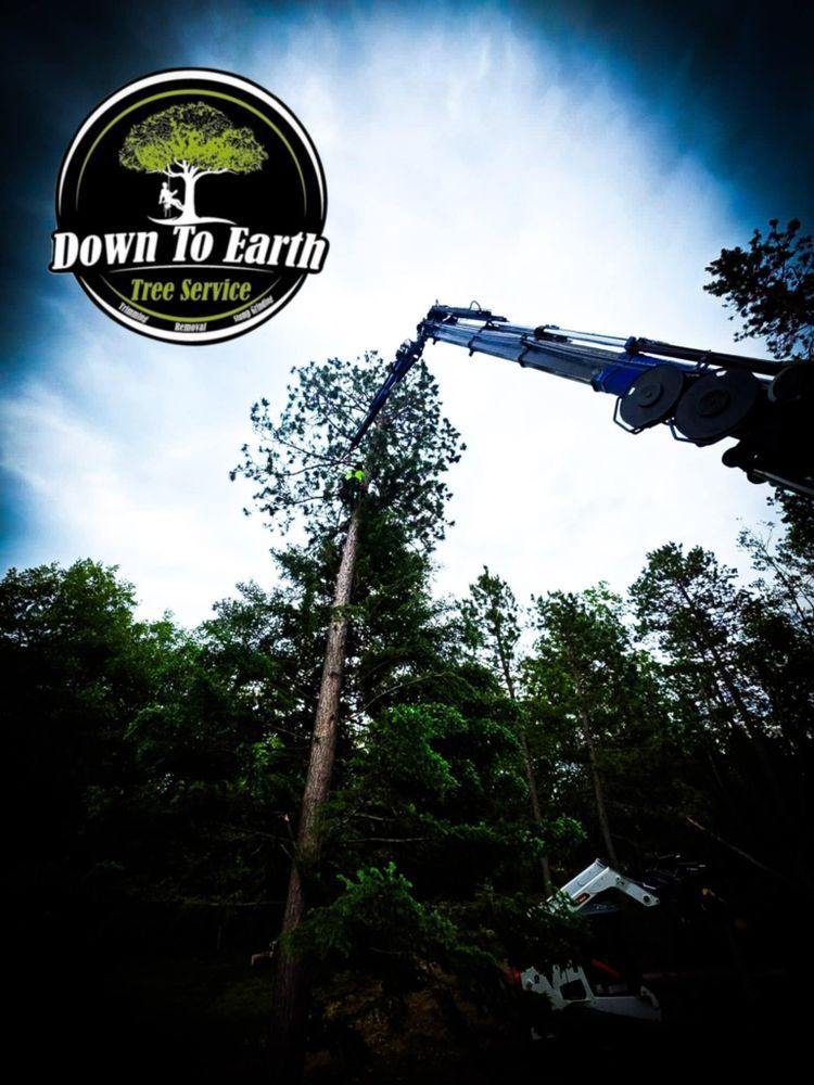 Down to Earth Tree Service logo with arborist in crane cutting a tall tree.