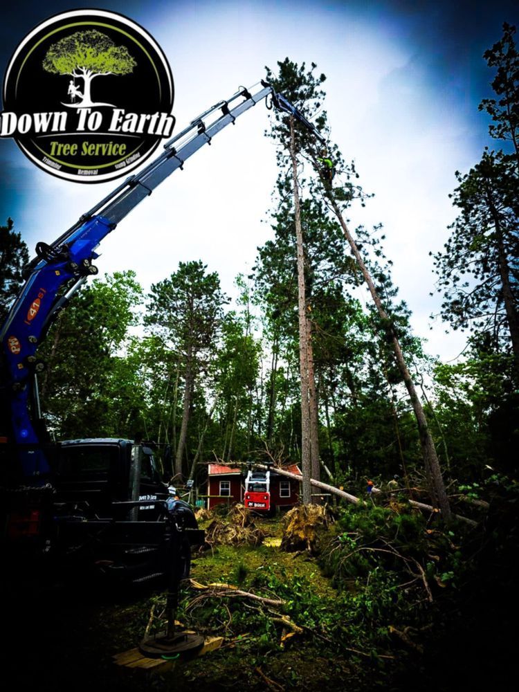 A crane cutting down a tall tree near a red building in a wooded area.