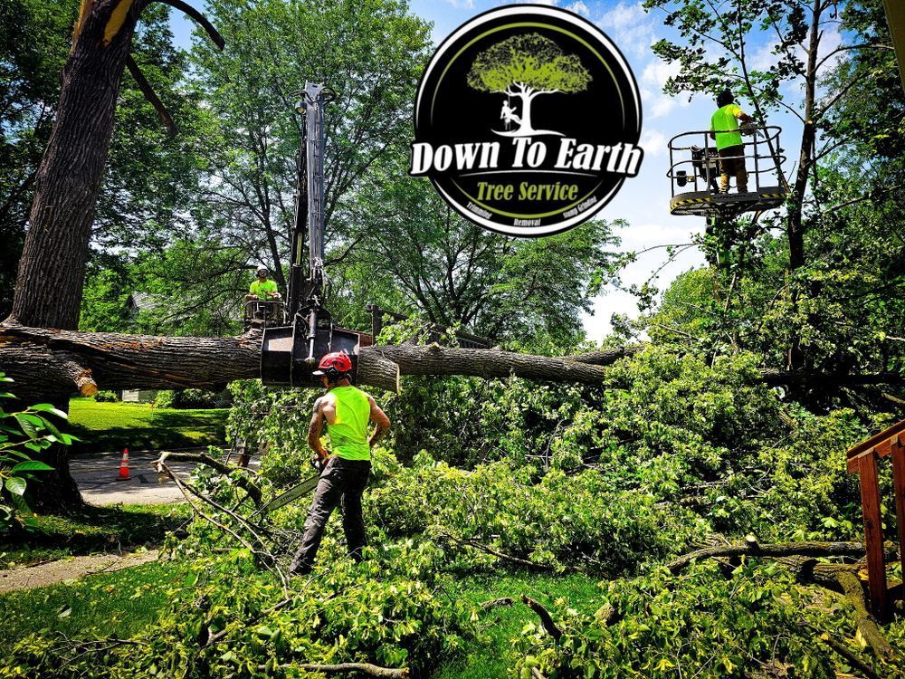 Tree service crew removing a fallen tree. Men in safety vests cutting branches in a yard.