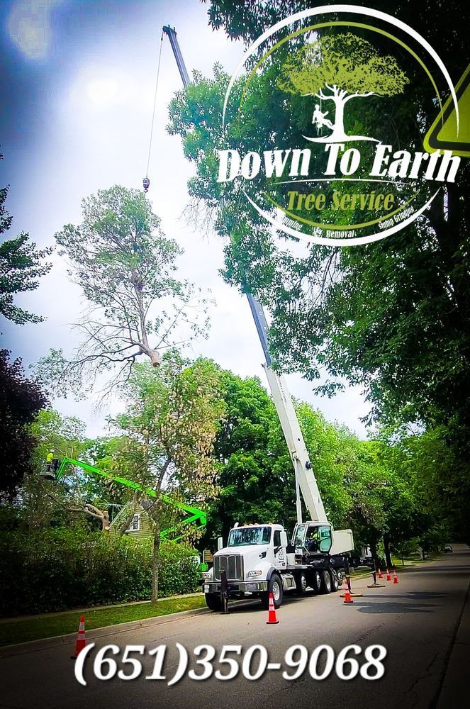 A tree service truck with a crane removing a tree in a neighborhood. Contact (651) 350-9068.