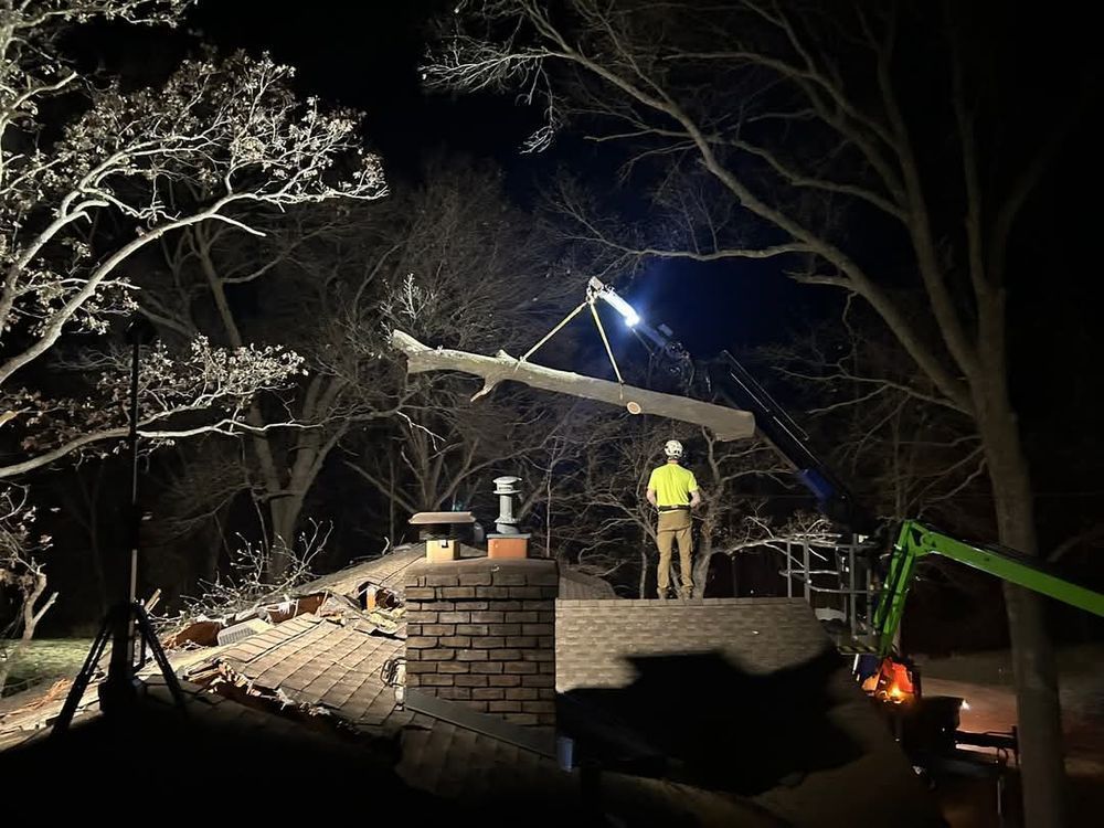 Workers removing a large tree limb from a rooftop at night with a crane.