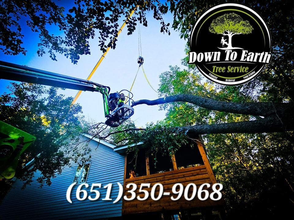Tree service removing a tree branch from a house using a lift; with logo and phone number in the image.