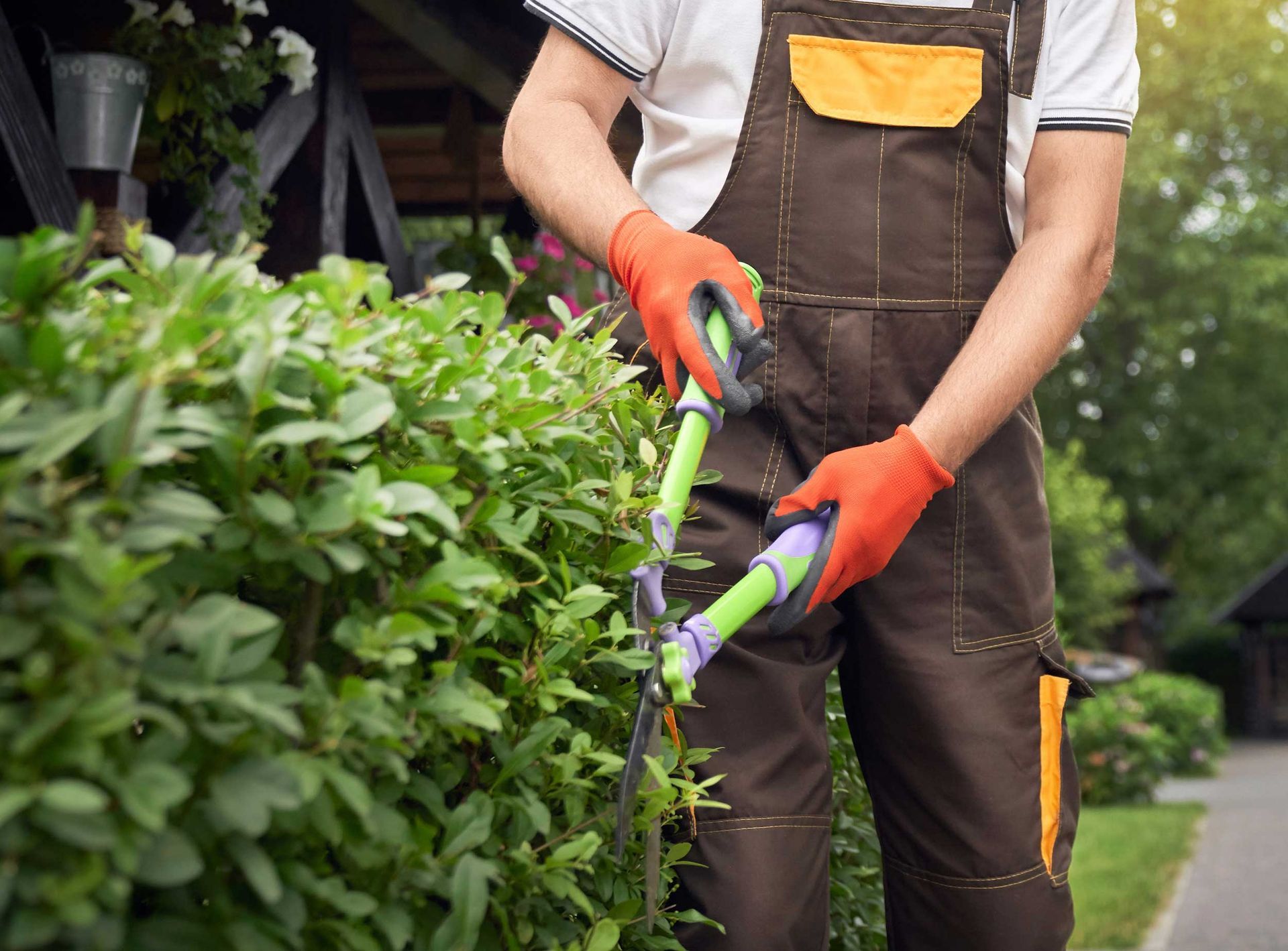 Expert commercial tree services showcased by a man in overalls in a vibrant backyard.