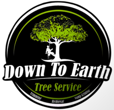 Down to Earth Tree Service