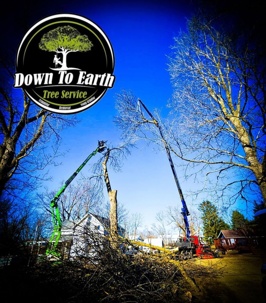 Down to Earth Tree Service logo above two cherry pickers trimming trees against a blue sky.