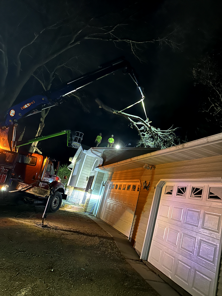 Tree removal service cutting a tree off a house roof at night with a truck lift.