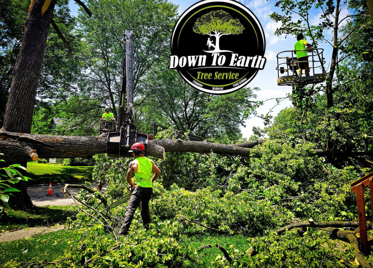 Tree service workers cutting a fallen tree; bright green clothing, outdoor setting.