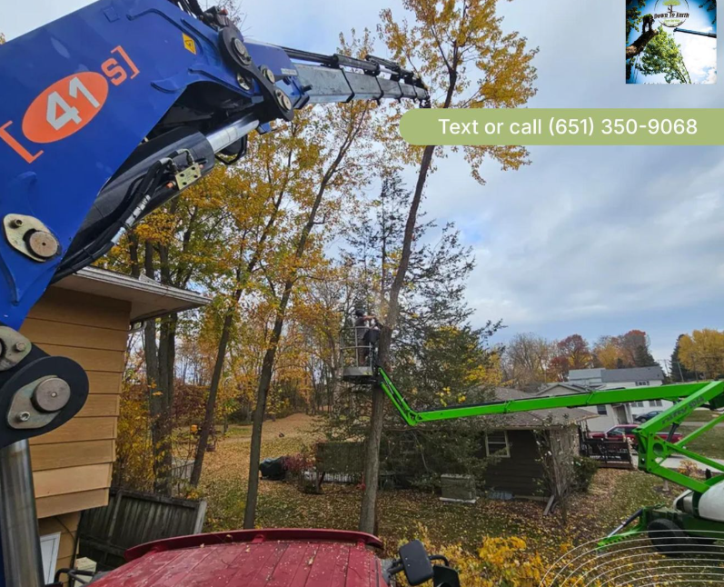 Tree service workers in a lift trimming a tree near a lake. Green equipment, bright colors, and the company logo.