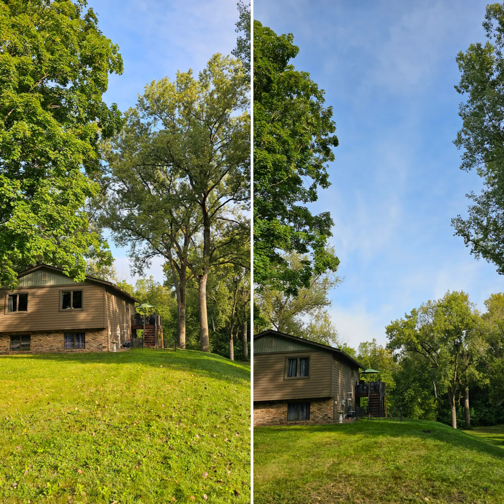 Two-panel view of a house on a grassy hill surrounded by trees against a blue sky.