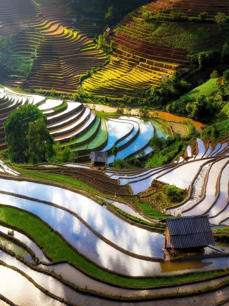 Sapa Weather in April: Temperatures, Rain, Fog & Travel Tips