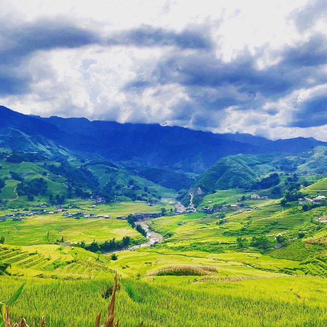 Discover Tả Van Village – A Hidden Gem in Mường Hoa Valley