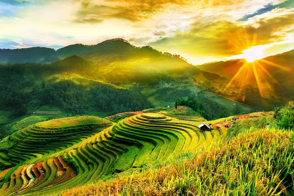 Discover the Natural Beauty of Sapa: A Complete Guide