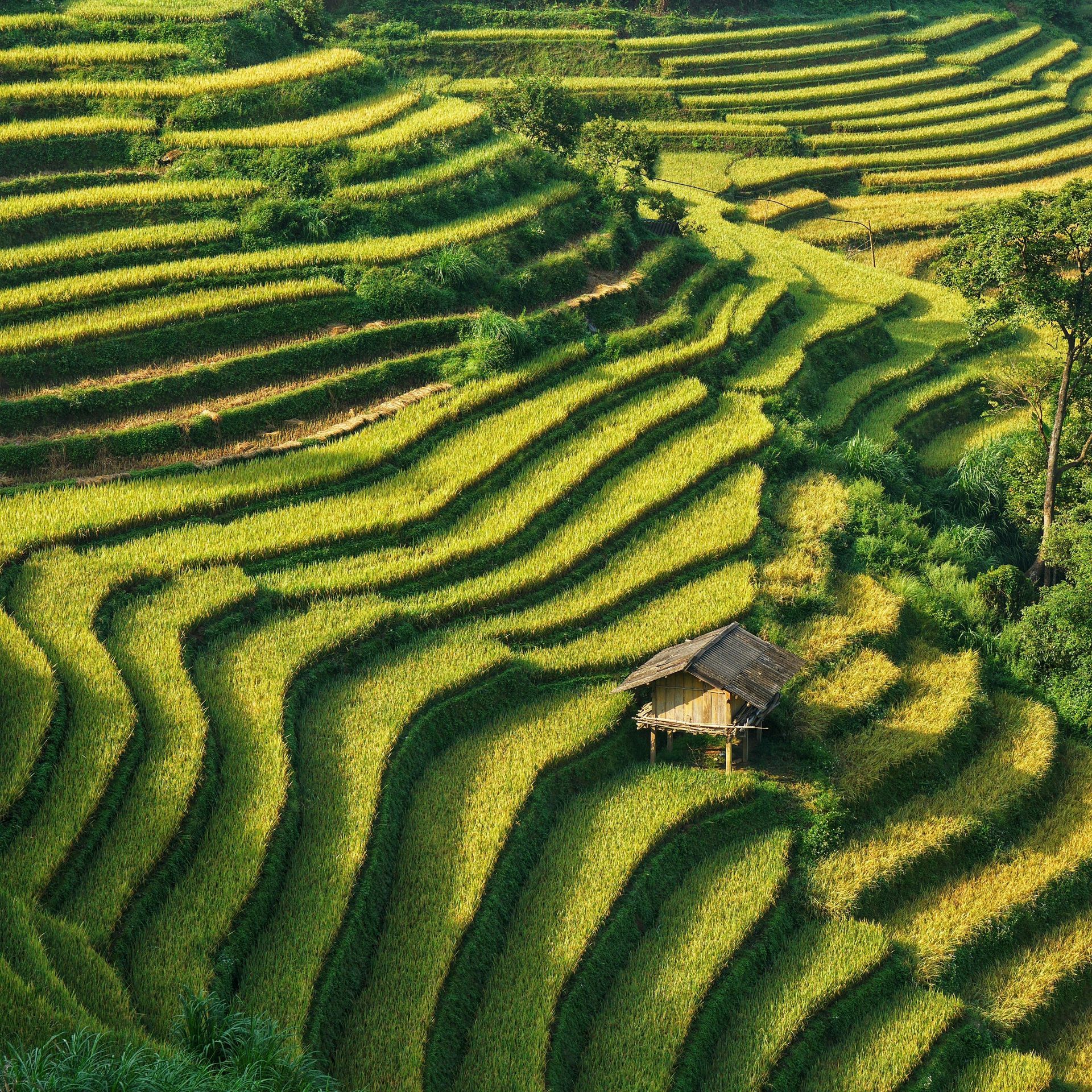 Muong Hoa Valley