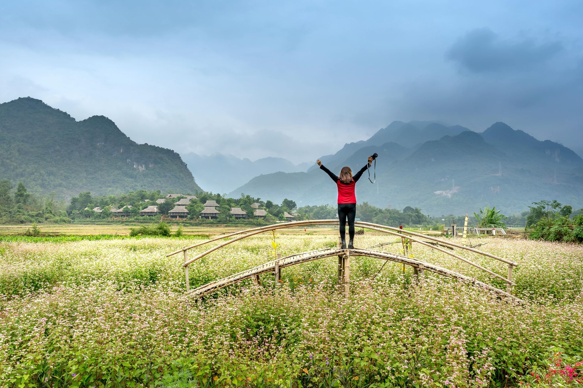 Muong Hoa Valley Spring (February – April)