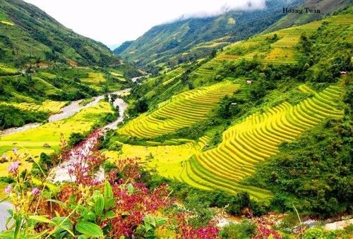 The Beauty of Muong Hoa Valley Through the Seasons