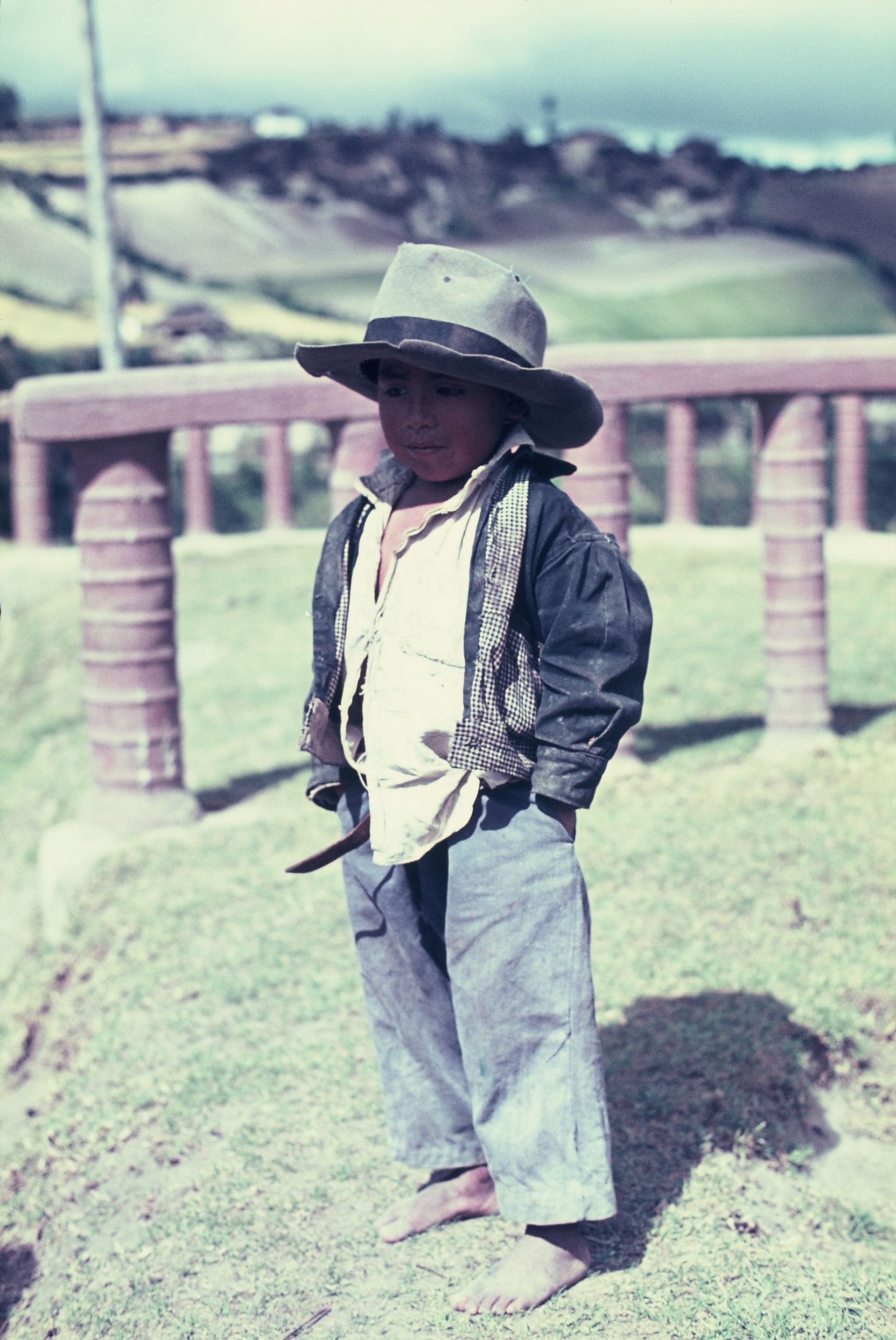 A little boy wearing a hat and a jacket is standing in the grass.