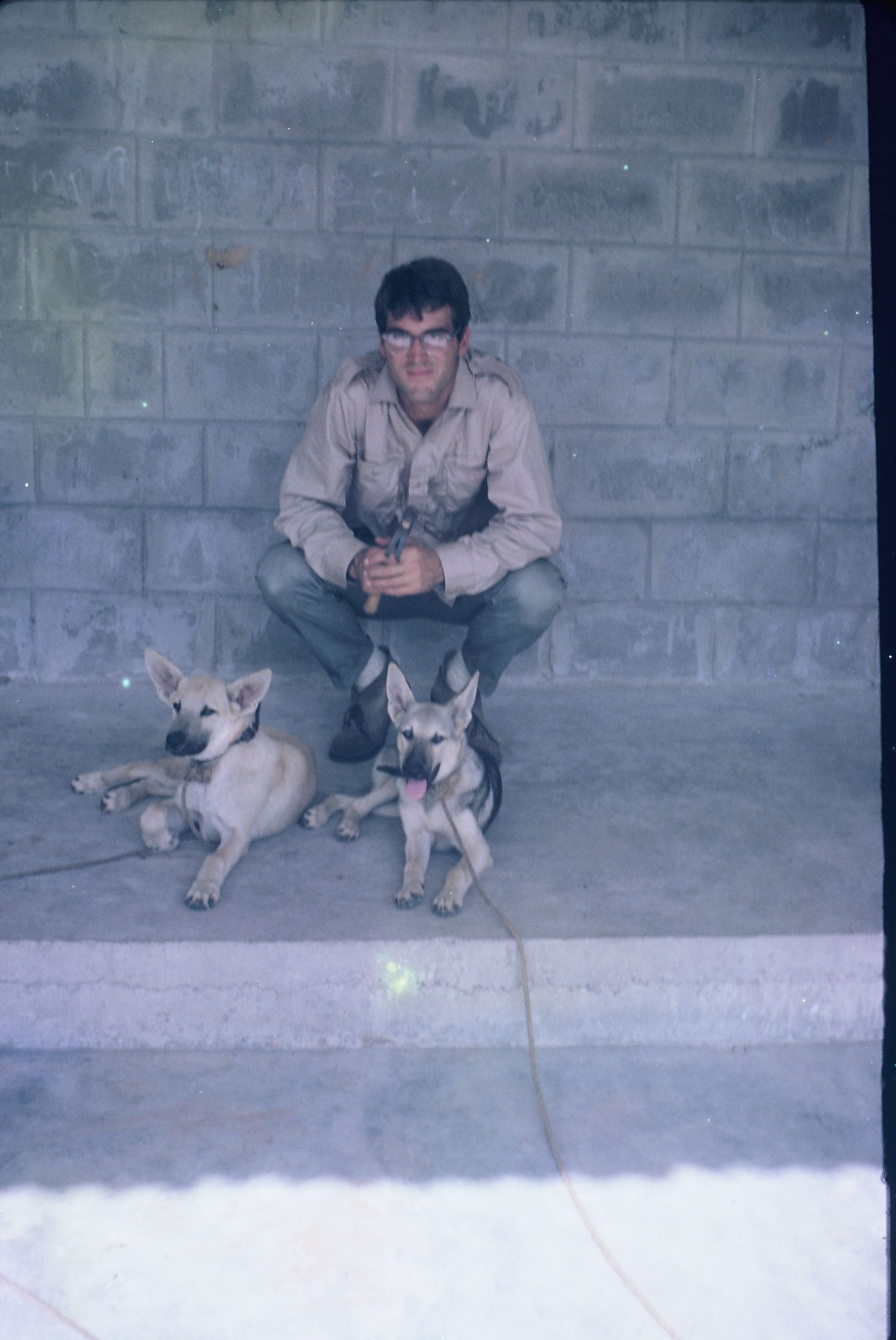 A man is kneeling down next to two dogs.