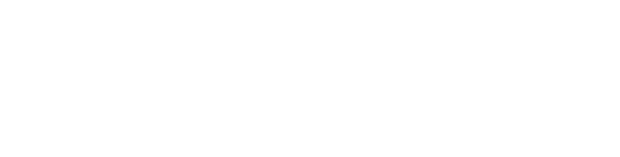logo peoplefy