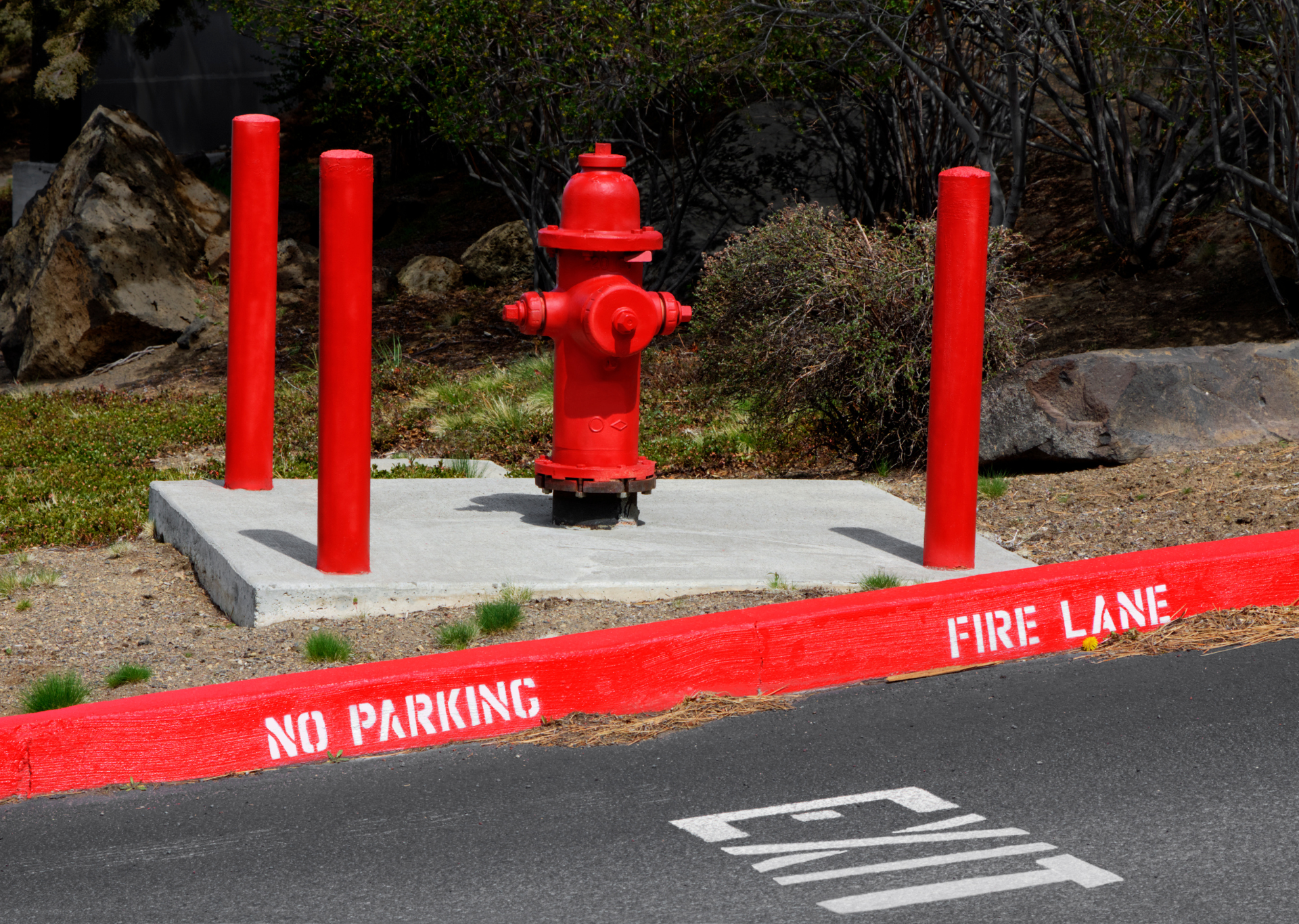 Red fire hydrant with safety bollards in front of a painted fire lane and no parking zone.