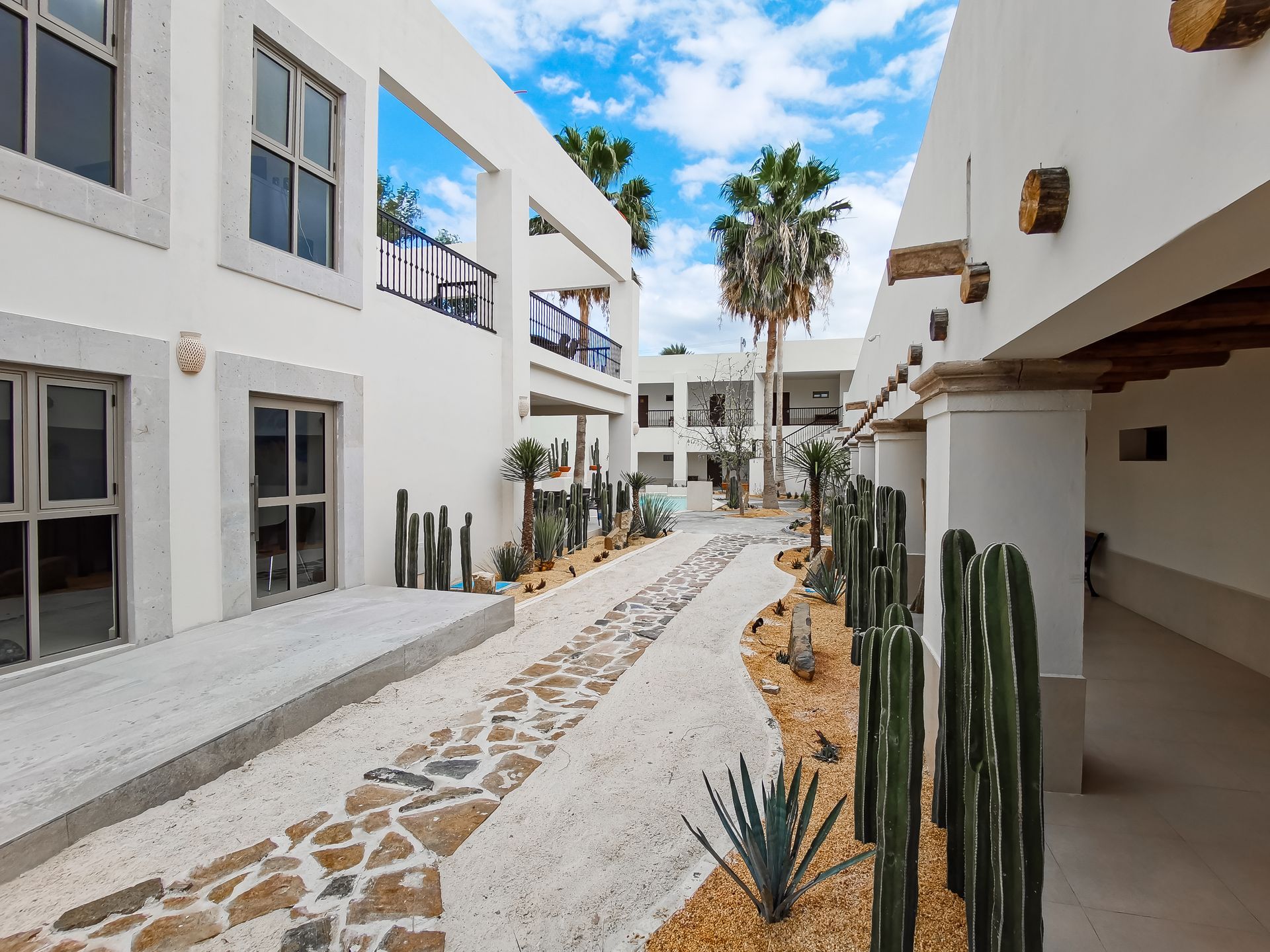 Una hilera de edificios blancos con cactus creciendo entre ellos.